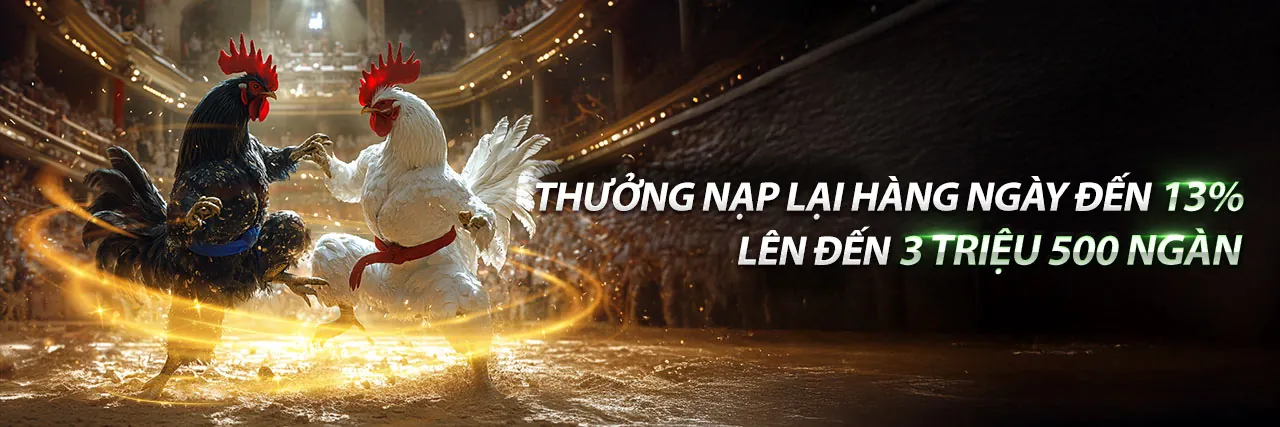 Đá gà trực tuyến Lucky8 2026