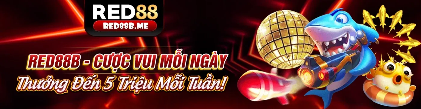 Tin tức Lucky 8: Cập nhật mới nhất về cá cược trực tuyến